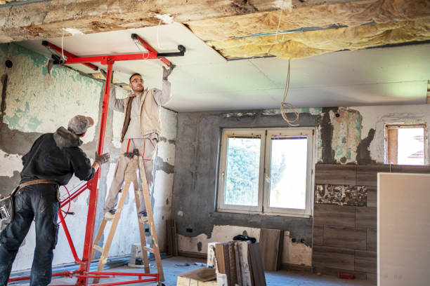 Best Insulation Maintenance and Repair in Grand Meadow, MN