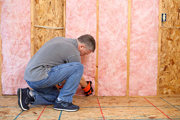 Best Insulation for Specific Applications in Grand Meadow, MN